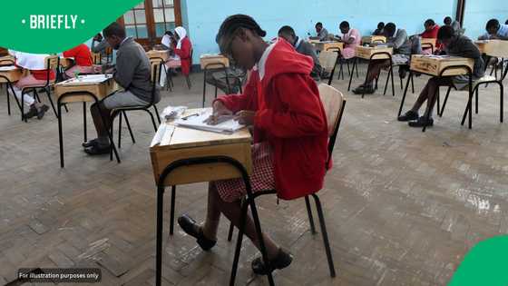 23-year-old SA developer builds free app to help learners pass maths