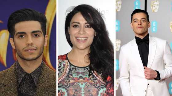 Here are the top 10 Egyptian actors and actresses making it in Hollywood