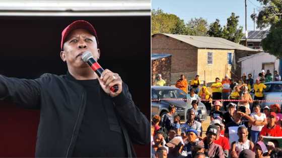 ANC butt of Julius Malema's joke at EFF rally in NC: 'Yellow t-shirt wearing people'