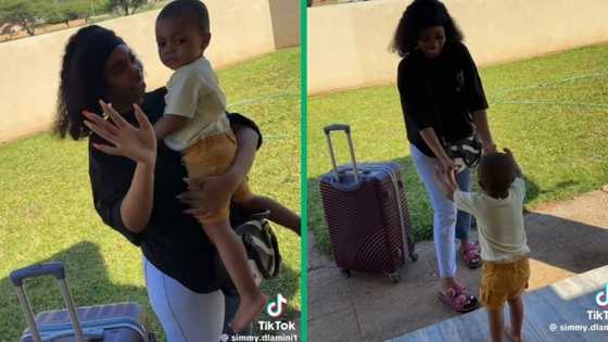 Toddler's tearful goodbye tugs at hearts as mom heads to University in viral video