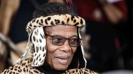 Exclusive: Mangosuthu Buthelezi, IFP open SAPS case against publisher of 'fake video'