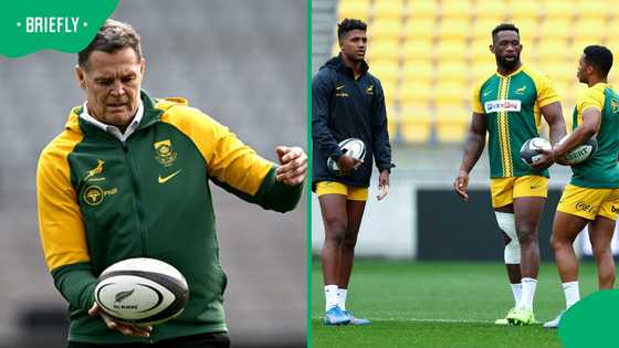 Springboks dealt fresh injury blow ahead of crucial Argentina Test