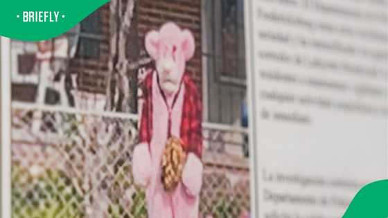 Pink Panther costume sighting raises alarm after reports of children being followed