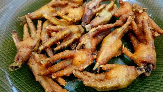 Mzansi reacts to the Egyptian government asking citizens to start eating chicken feet: "Welcome to Africa"