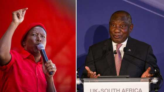 Malema slams Ramaphosa after Phala Phala report vote failed to produce impeachment proceedings