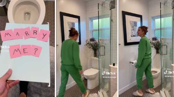 Man asks bae to marry him in toilet, internet rates the proposal: "2 out of 10, funny but not romantic"
