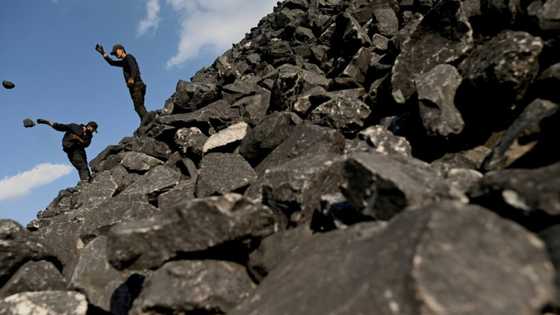 Fossil fuel reserves contain 3.5 tn tonnes of CO2: database