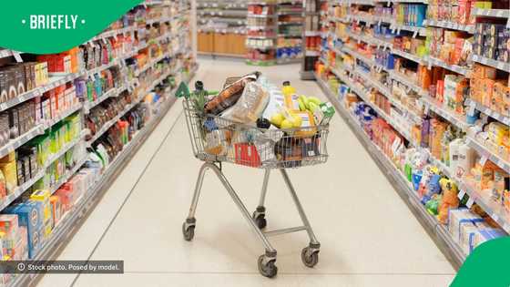 “Zuma’s economy didn’t disappoint”: SA emotional after seeing food prices from a decade ago