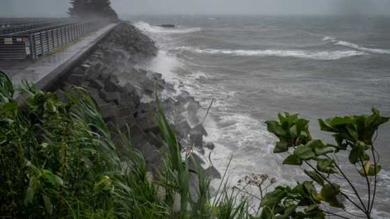 Thousands in shelters as 'dangerous' typhoon hits Japan