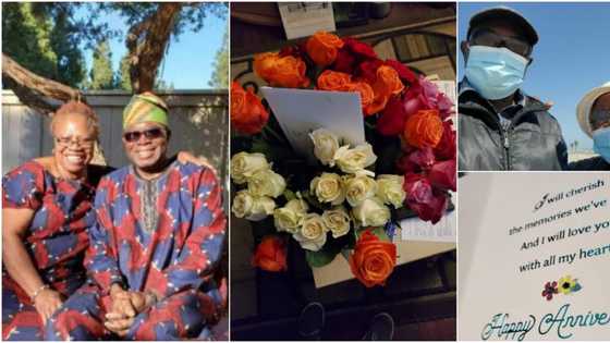 Woman shares adorable photos of parents celebrating 46 years of marriage