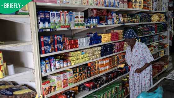 R28.55 a day for food: South Africa's new poverty line reveals harsh reality