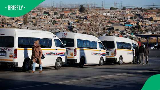 Taxi association suspends foreign national drivers until further notice
