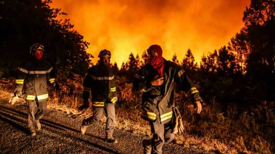 France gets help from EU neighbours as wildfires rage