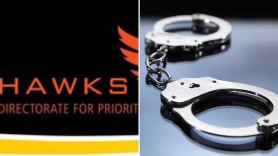 Hawks arrest woman for embezzling R3.6 million from Limpopo school
