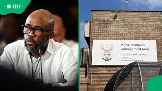 General Nhlanhla Mkhwanazi exposes relationship between Cat Matlala and prison head