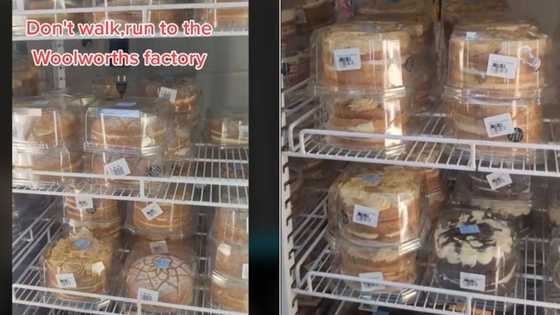 Woman discovers Woolworths' cake factory prices, SA appreciates the Johannesburg plug for sweet treats