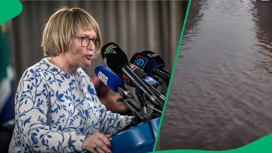 Johannesburg woman calls out Helen Zille over deep pothole in area under DA's governance in TikTok video