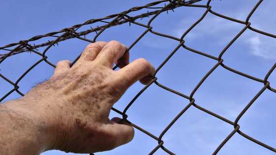 Top 10 prisons where the most dangerous criminals are held around the world