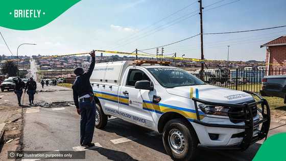 77-year-old woman stabbed to death in Limpopo, neighbour killed by mob justice