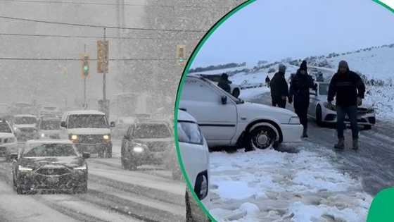 "Tazz is sleeping there": Western Cape winter storm introduces slippery icy snow on roads