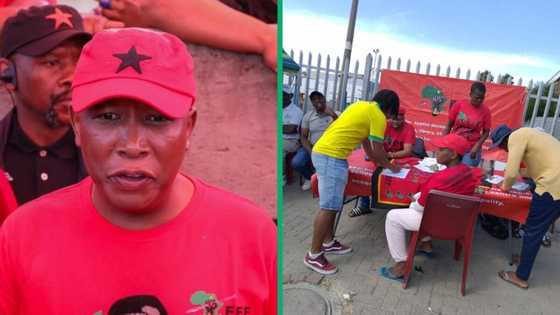 IEC registration weekend: Julius Malema challenges idea of youth voter apathy