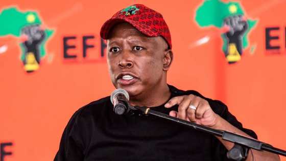 EFF rally: Julius Malema calls on South Africans to open their arms to immigrants during Heritage Day address