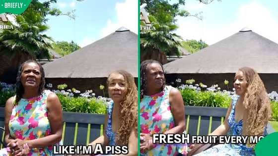 “We feel at home”: Americans visiting Mzansi say they’re not ready to leave SA