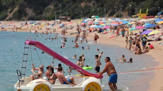 Spain's tourism revenue seen hitting new record in 2024