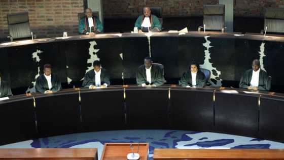 Constitutional Court decides Ethiopian man can stay in SA, asylum application continues