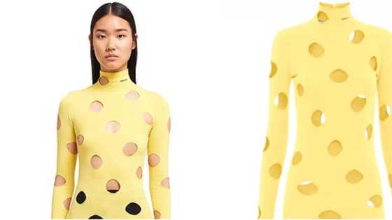 Internet reacts to R18 000 Prada sweater: "It looks like holey cheese"