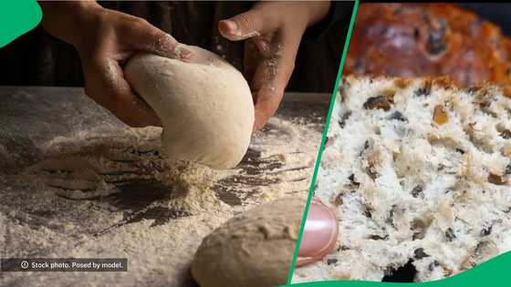 Mopane worm bread recipe in TikTok video stuns South Africa