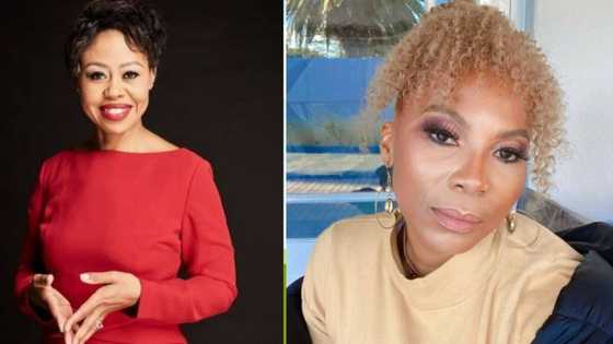 Redi Tlhabi shares her views on Nathi Mthethwa's R22 million flag project, claps back at Penny Lebyane