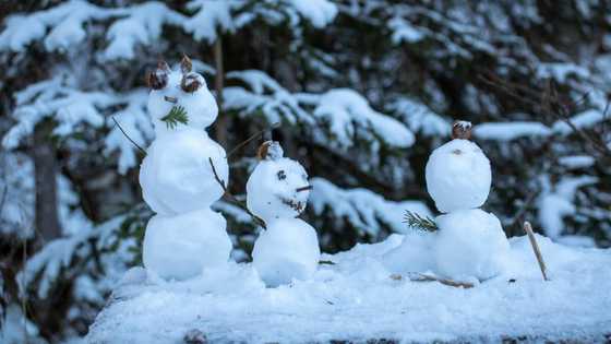 South Africa anticipates snowy bliss as heatwave takes a backseat during cold front