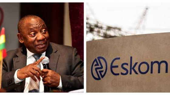 Embattled Eskom to blame as South African economy takes nosedive