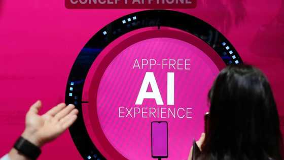 AI a 'game changer' but company execs not ready: survey