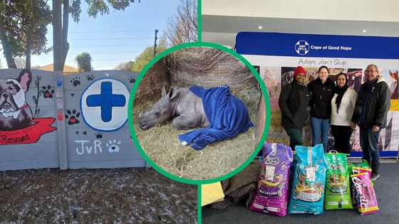 Organisations show compassion for animals on Mandela Day