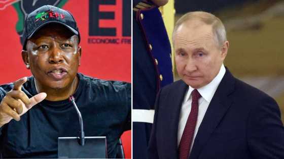 "President Putin is welcome": Malema vows to protect Russian leader during Brics summit