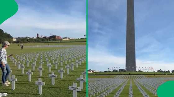 3,000 white crosses honouring SA farm attack victims in Washington, USA, display sparks backlash