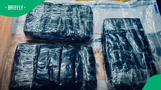 Police in Durban arrest 51-year-old, seize drugs worth over R1 million in KwaZulu-Natal