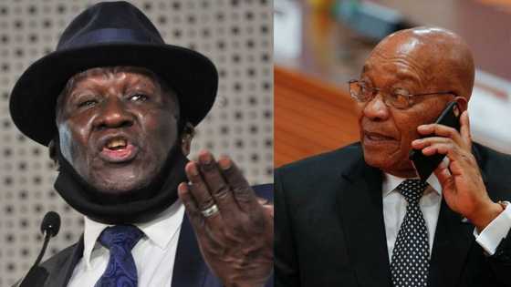 Cop or corrupt: SA wants the tea behind Cele's visit with Zuma