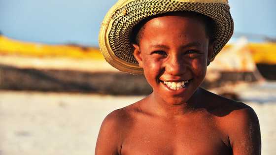 My young son vanished on vacation — hours later a dog returned with his hat