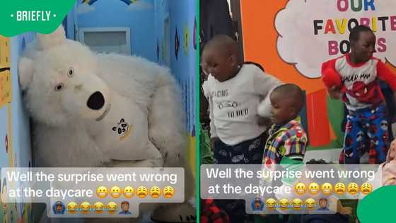 Kids expected a fun surprise, then the dancing bear arrived, and absolute chaos broke out