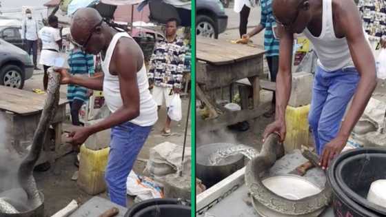 Man cooks giant snake in TikTok video, leaves South Africans with questions