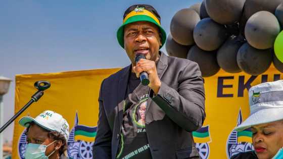 ANC top 6 candidate Mzwandile Masina resigns as Ekurhuleni councillor after trying to overthrow the DA