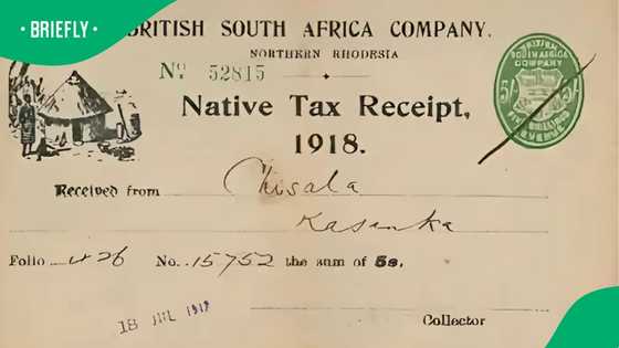 “Tax must fall”: 1918 tax receipt stuns Mzansi and reopens colonial wounds