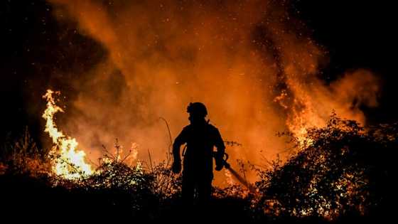 Forest fires rage in scorching southwest Europe