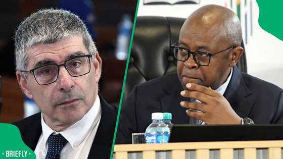 Witness F claims illness, halts explosive Madlanga Commission testimony