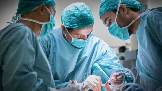 Salary of a surgeon in South Africa 2022 | 10 highest paying medical jobs