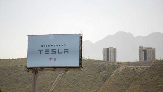 Tesla's arrival accelerates Mexico 'nearshoring' boom