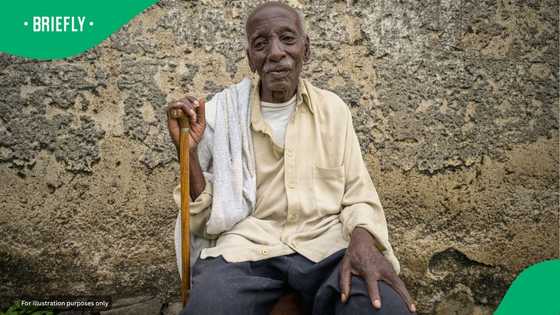 Kraaifontein pensioner Turns R350 Sassa Grant into a r20,000 micro-Farm